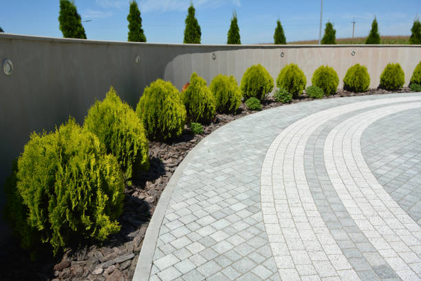 Professional Driveway Pavers in Holly Hills, CO